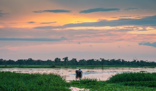 ecuadorian amazon