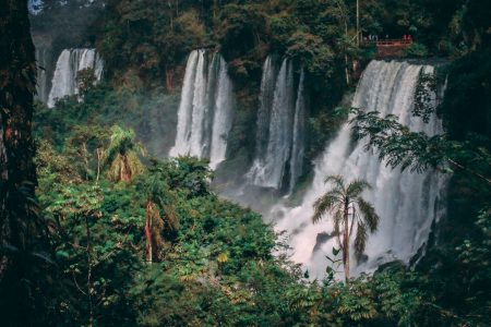 Iguazu Falls daytime