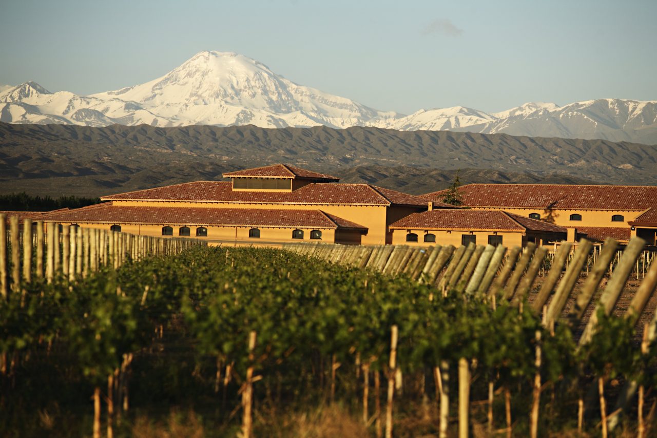 mendoza argentina winery tours