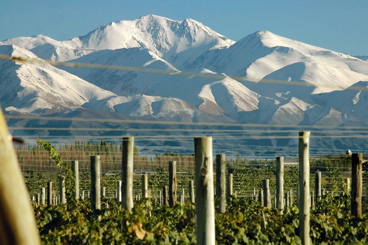 best wine tours in mendoza argentina