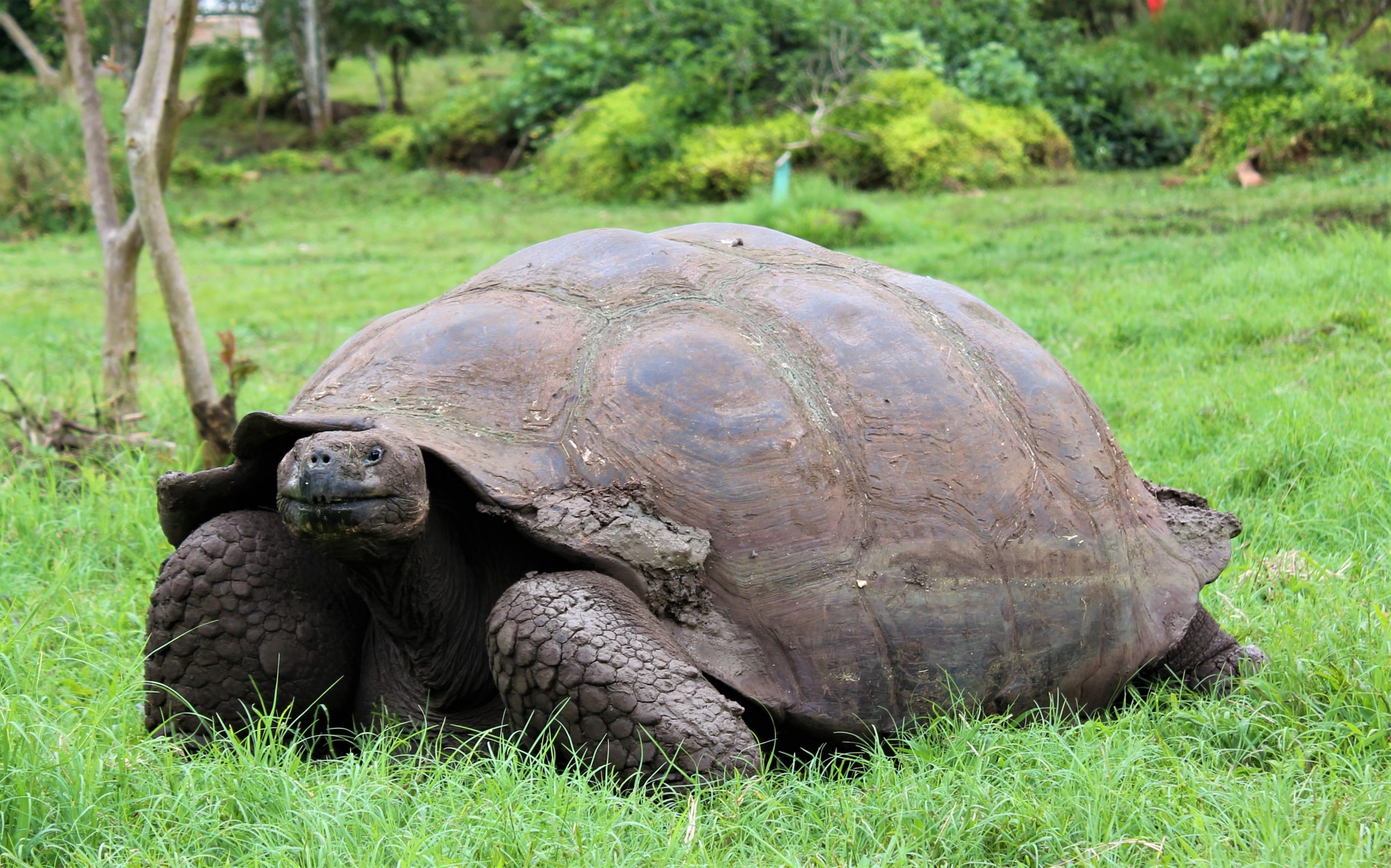 Primicias Ranch - Galapagos - Travel Just 4U