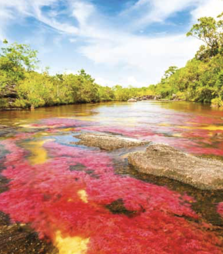 Caño Cristales - Nature & Adventure in Colombia - Travel Just 4U