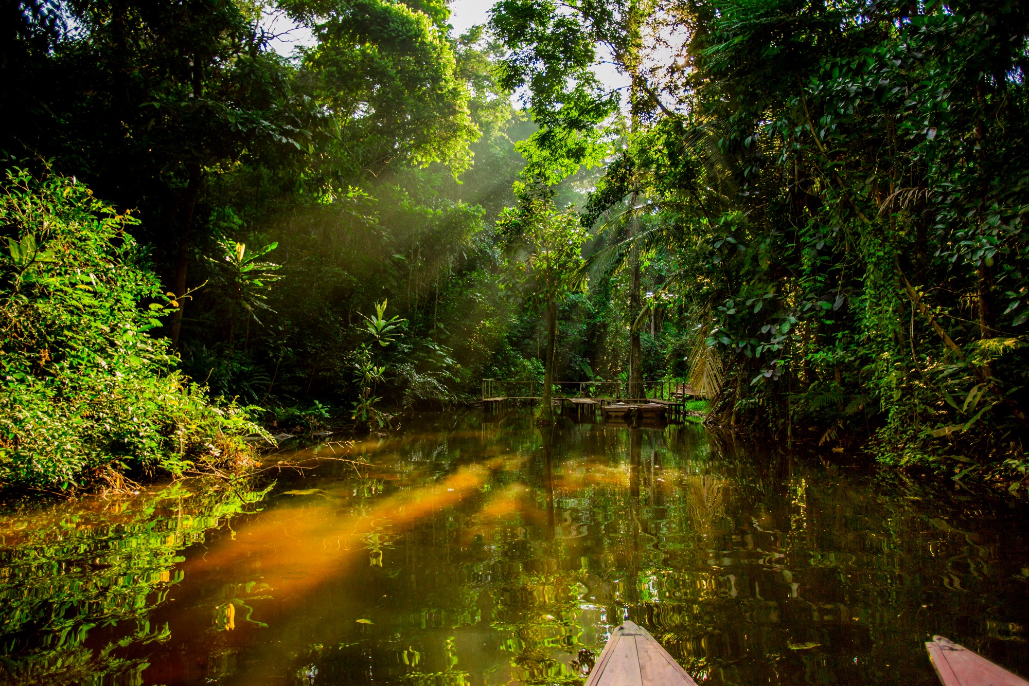 Multimapas De Amazonas By Visit Peru Issuu - vrogue.co