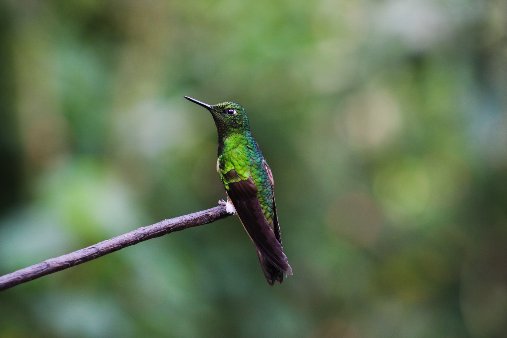 Colombian Amazon - Jungle Lodge Eco Adventure - Travel Just 4u