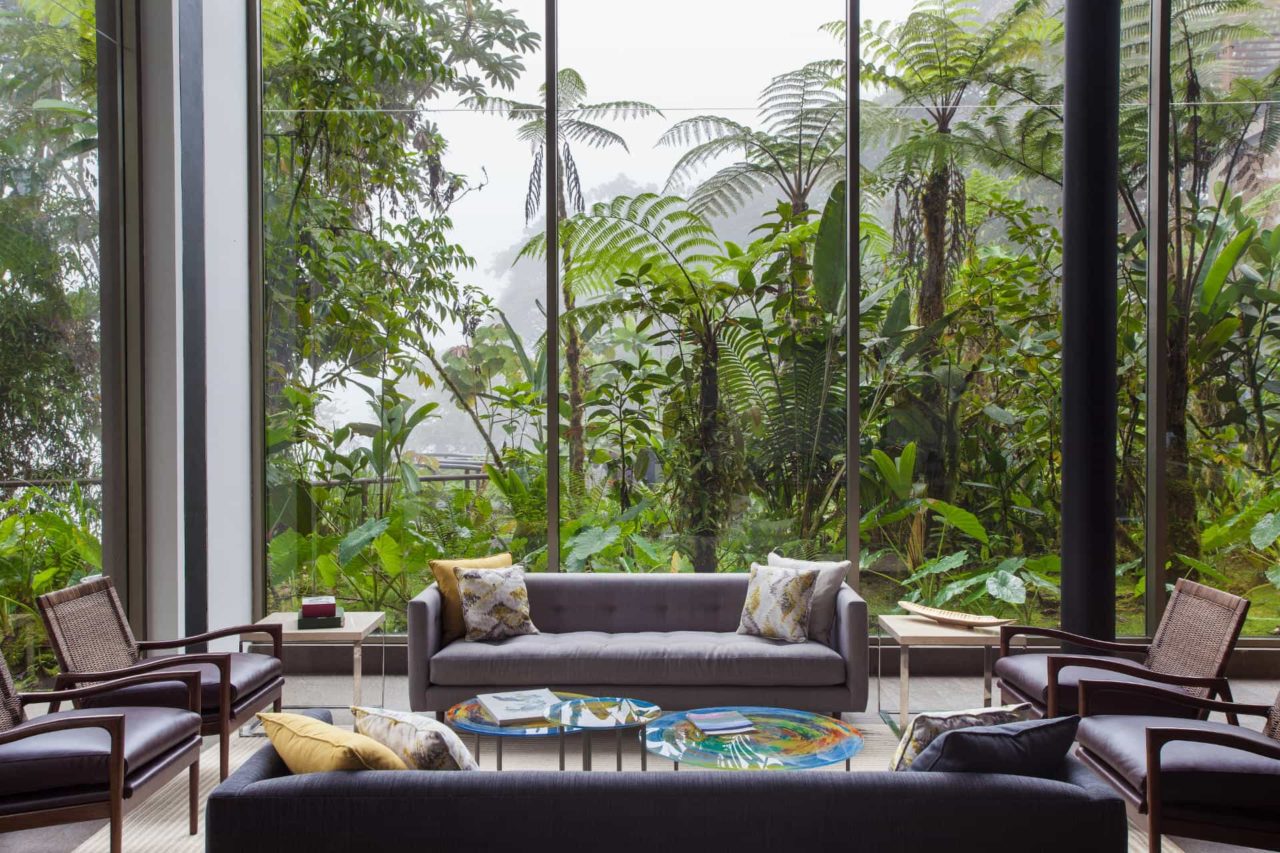 lodge lounge area surrounded by natural cloud forest