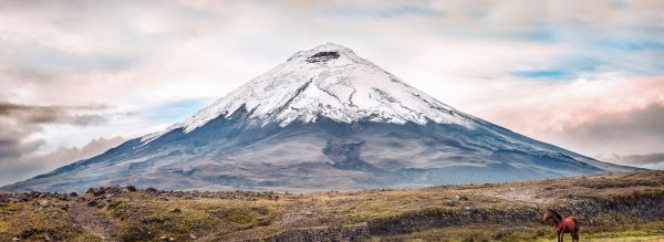 cotopaxi with horse