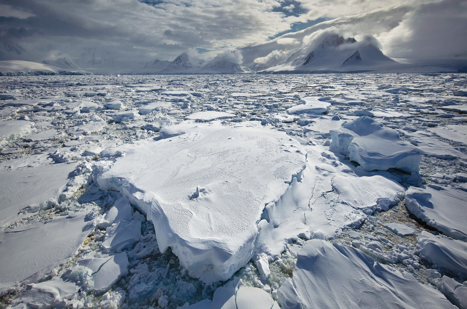 Экспедиция северный ледовитый океан. Арктика Антарктика Антарктида. Острова Субантарктики. Арктический пейзаж. Арктическая пустыня.